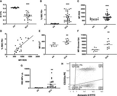 Association Between Nitric Oxide, Oxidative Stress, Eryptosis, Red Blood Cell Microparticles, and Vascular Function in Sickle Cell Anemia